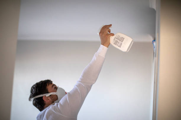 Best Best Mold Removal Companies  in Laurel Springs, NJ
