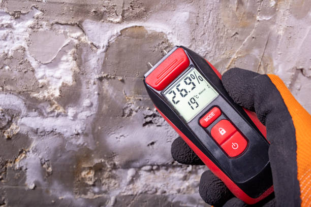Best Commercial Mold Removal  in Laurel Springs, NJ